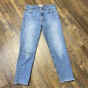 Everlane Curvy Cheeky Jeans Womens 31 Blue High Rise Distressed Raw Hem Stretch